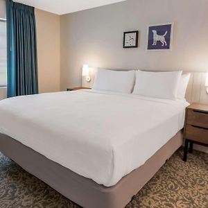 One-Bedroom Queen Suite