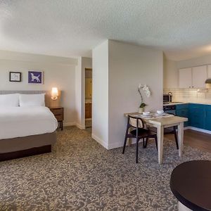 Sonesta Es Suites Austin The Domain Area