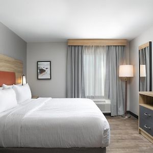 Premium King Suite