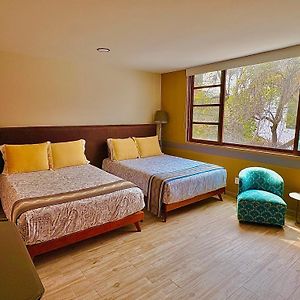 Habitaciones Coyoacan