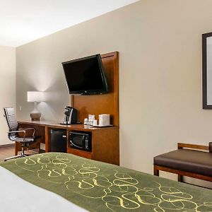 Standard King Suite Mobility accessible