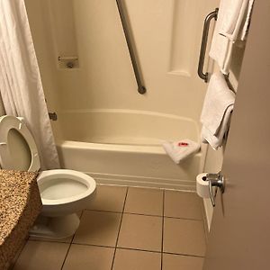 King Room Disability Access