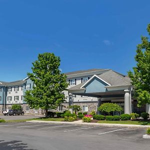 Comfort Inn & Suites East Greenbush - Albany
