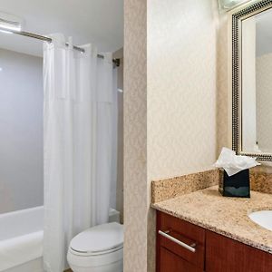 One-Bedroom Queen Suite