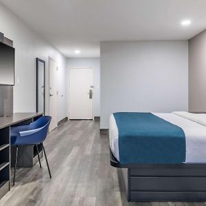 King Room Disability Access