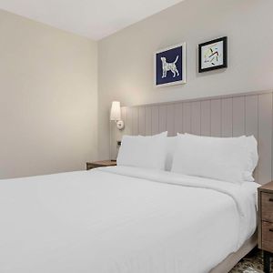 One-Bedroom Queen Suite Mobility accessible
