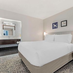One-Bedroom Queen Suite