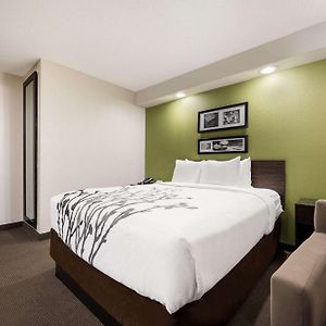 Queen Room Disability Access