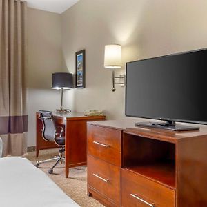 Queen Suite