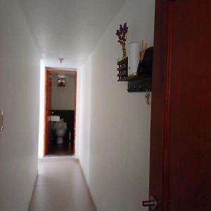 Classic Apartment