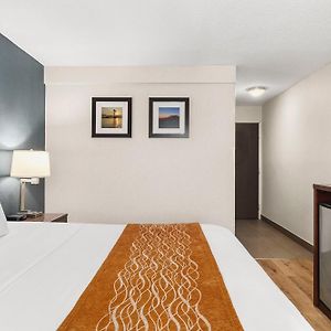 King Room Mobility accessible