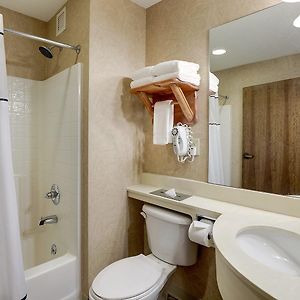 Family King Suite