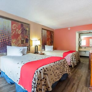 Premium Queen Room