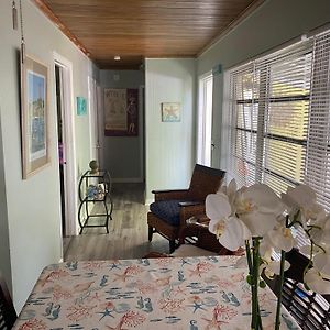 Option1 3 Bedroom House Only Option2 Studio Cottage Only Option3 House Plus Cottage Fenced Backyard Private Patio Areas Grill Firepit Plenty Parking! Quick Access 10 Min To Beach Airport Delray West Palm