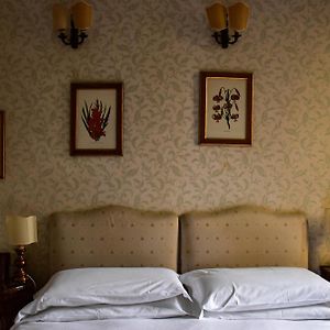 Classic King Room