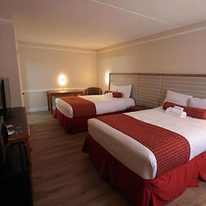 Standard Queen Room