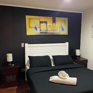 One-bedroom Loft Apartment