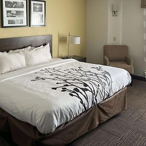 Sleep Inn Wilson Near I-95