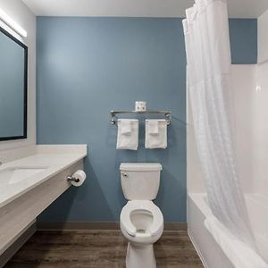 Queen Suite