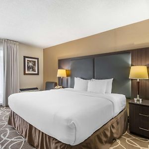 Standard Top floor King Room