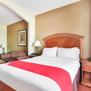 One-Bedroom King Suite