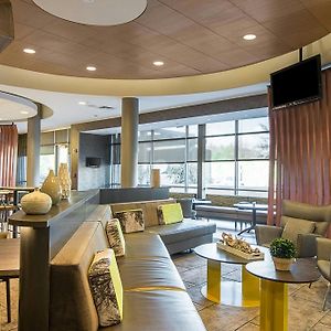 Springhill Suites Tampa North/Tampa Palms