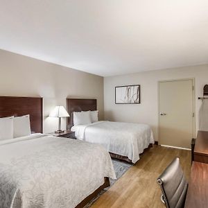 Premium Queen Room