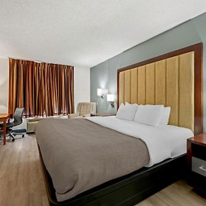 King Room Disability Access