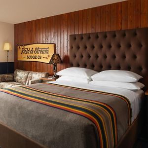 King Suite Mobility accessible
