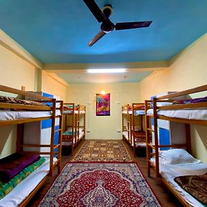 Dormitory Room Mixed
