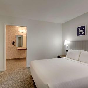 One-Bedroom Suite Mobility Accessible