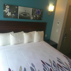 Superior  King Room Disability Access