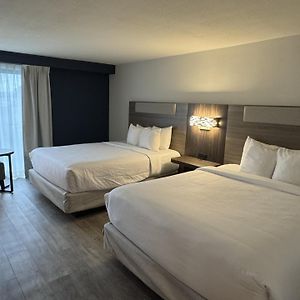 Standard Queen Room Hearing accessible