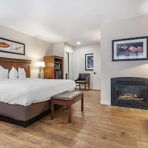 Two-Bedroom King Suite
