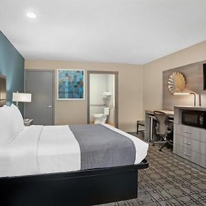 Queen Room Roll Shower Disability Access