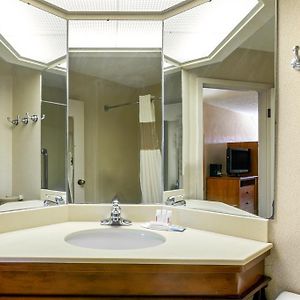 Two Room King Suite