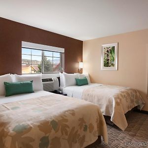 Studio Suite