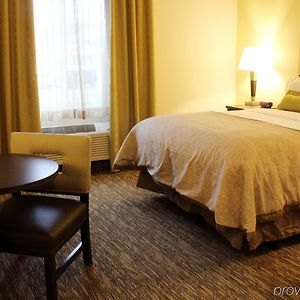 Queen Suite