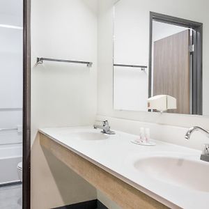 Studio Suite 3 Queen Beds Non-Smoking