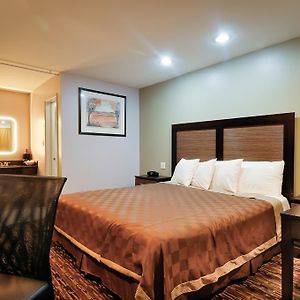 King Room Disability Access