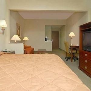 King Suite Disability Access