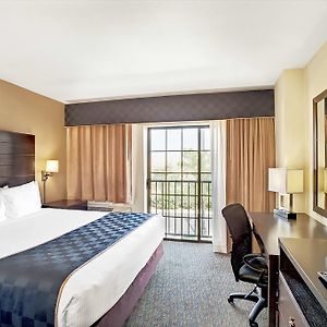 King Room Mobility accessible