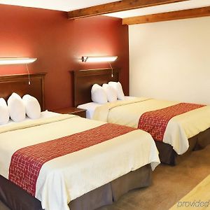 Premium Queen Room