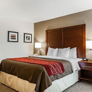 King Room Disability Access