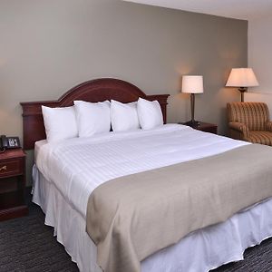 Standard Top floor King Room