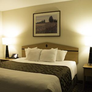 Executive King Suite