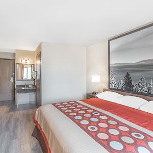 King Room Dog Friendly