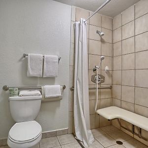 King Room Disability Access