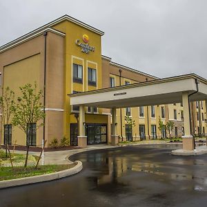 Comfort Inn Pa Turnpike - I-81