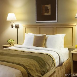 One-Bedroom King Suite